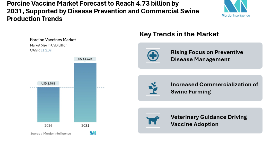 Porcine Vaccine Market Forecast to Reach 4.73 billion by 2031, Supported by Disease Prevention and Commercial Swine Production Trends
