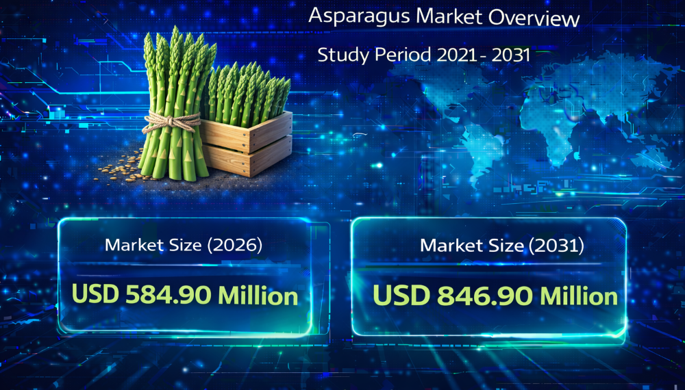 Asparagus Market Size to Reach USD 846.9 Million by 2031: Key Trends Driving Growth
