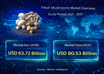 Fresh Mushrooms Market Size to Reach USD 80.53 Billion by 2031: Key Trends and Growth Drivers