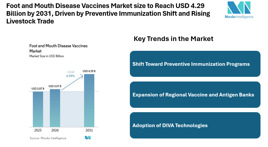 Foot and Mouth Disease Vaccines Market size to Reach USD 4.29 Billion by 2031, Driven by Preventive Immunization Shift and Rising Livestock Trade